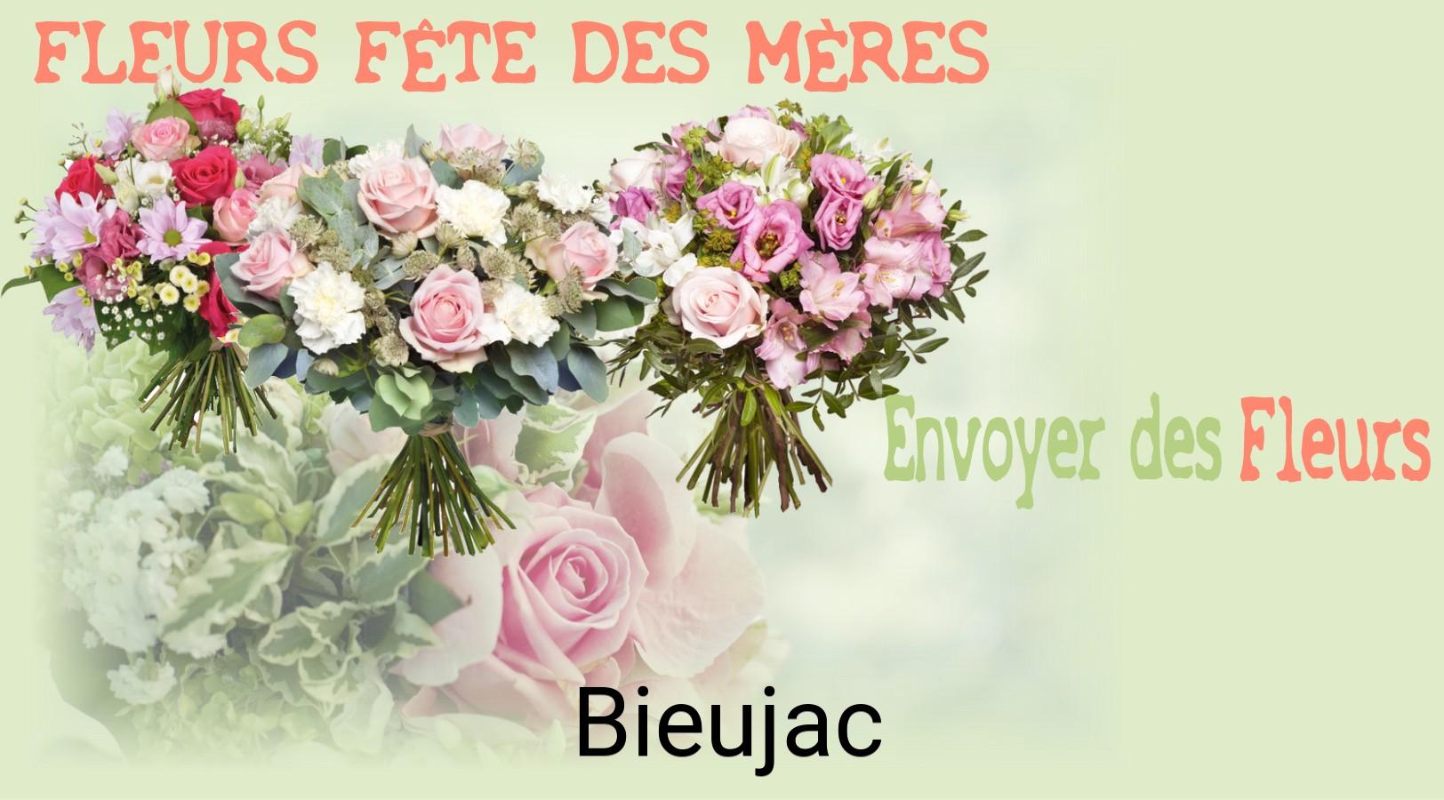 Bouquet de Fête des Mères livré à Bieujac